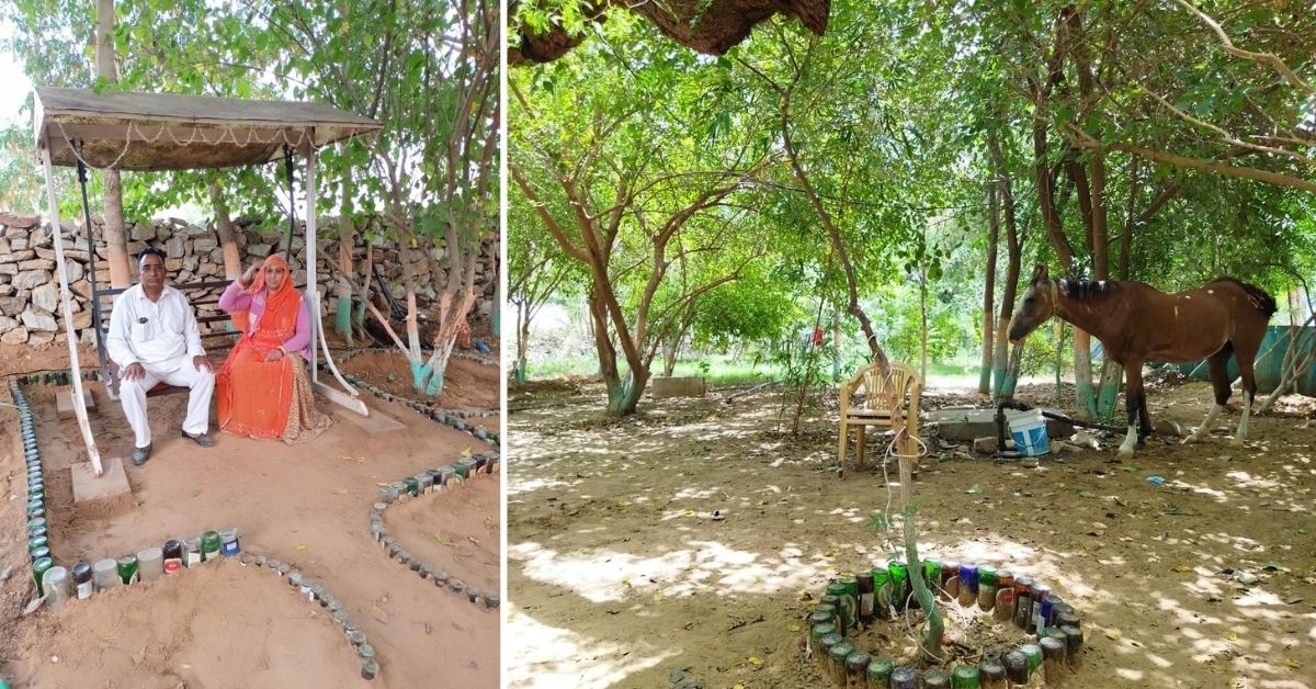 Rajasthan Man Planted Trees