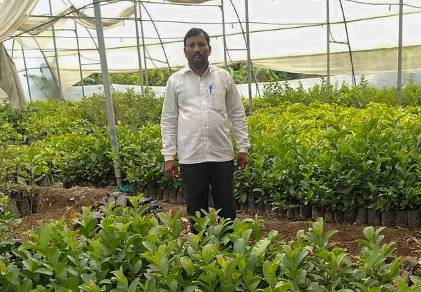 mango farmer Kakasaheb Sawant