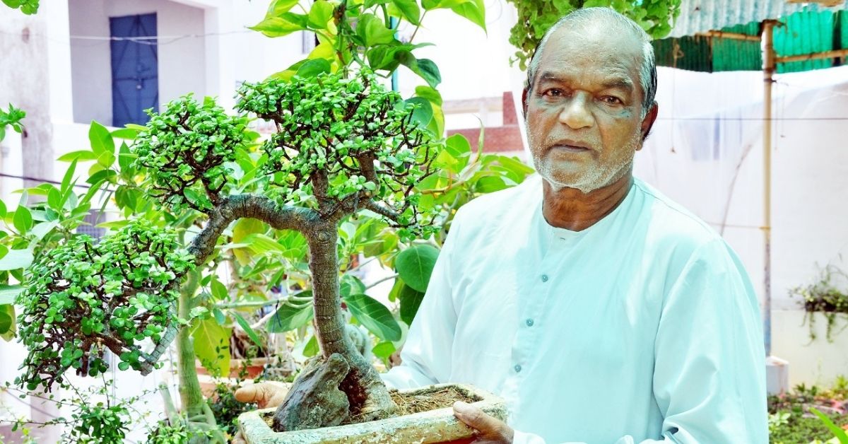 Sohan Lal Dwivedi Has A Mini Forest At Home By Growing Bonsai