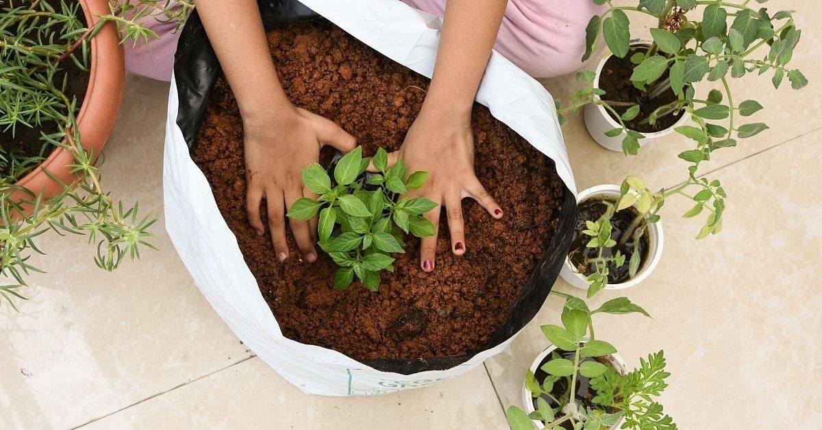 soil preparation for home garden