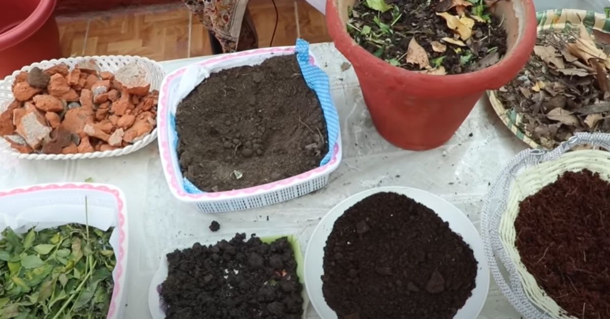 Soil Preparation For Home Garden