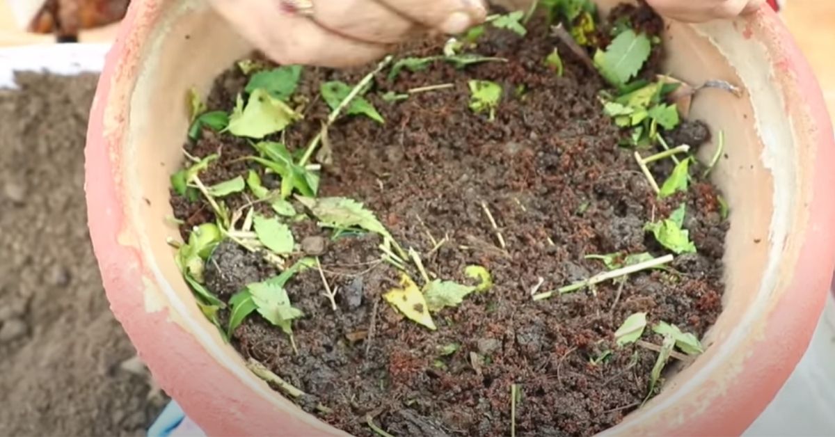 Soil Preparation For Home Garden