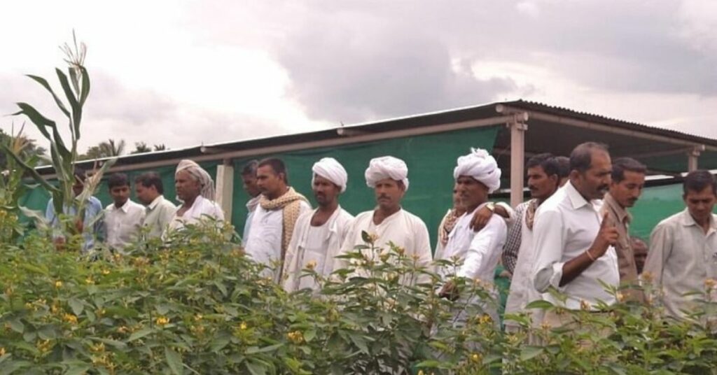 Maharashtra farmer multi crop 