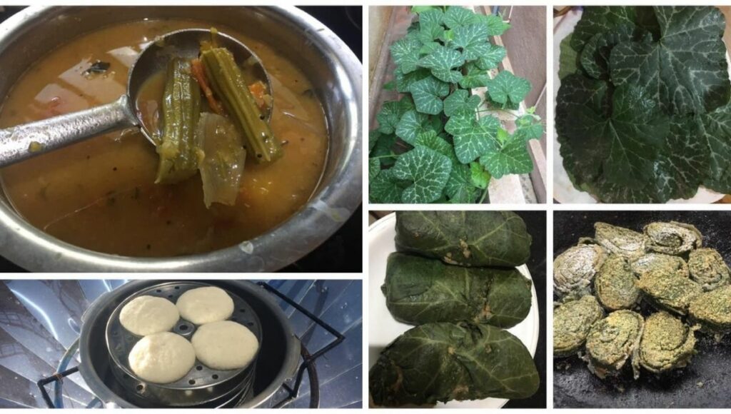 solar cooked food, sambar, idli