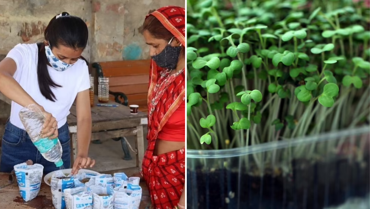 Nisha conducts workshop for underprivileged women to grow microgreens