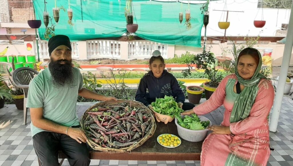 Avatar Singh And Maninderjeet on their terrace farm harvesting vegetables