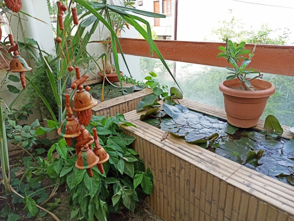 Lotus Pond on Roof top gardening tips for beginners