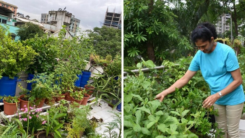 Anupama Desai gardening at her small home terrace garden