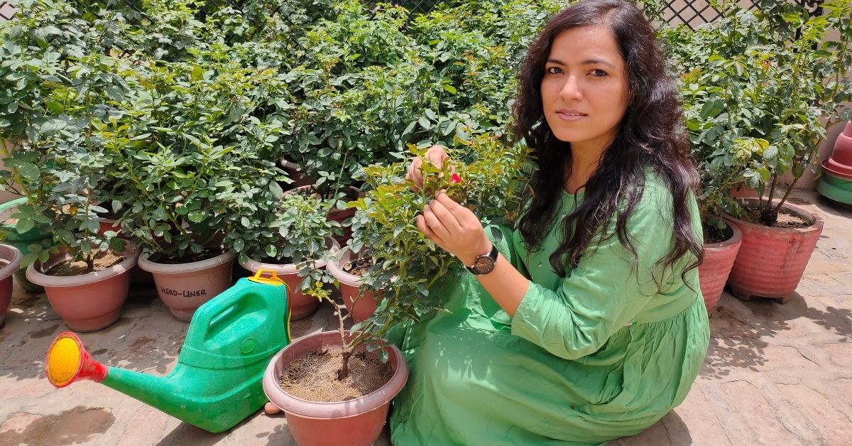 jaya bharadwaj's garden at haryana