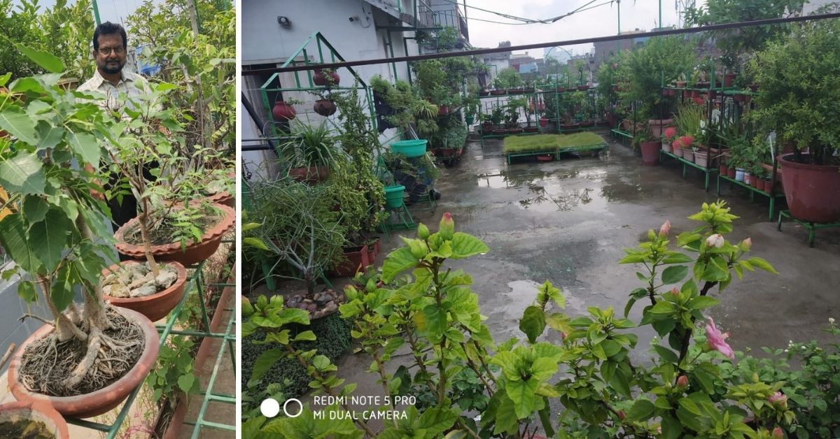 Manoranjan Sahay, doing terrace vegetable farming, one of the Best gardeners of 2021