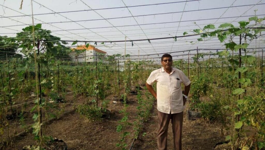 Ashwin Nariya in his farm
