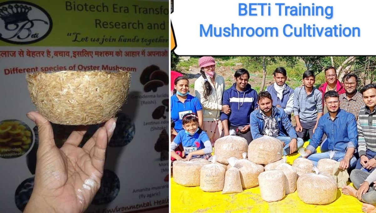 Eco friendly bowl and mushroom training for farmers 