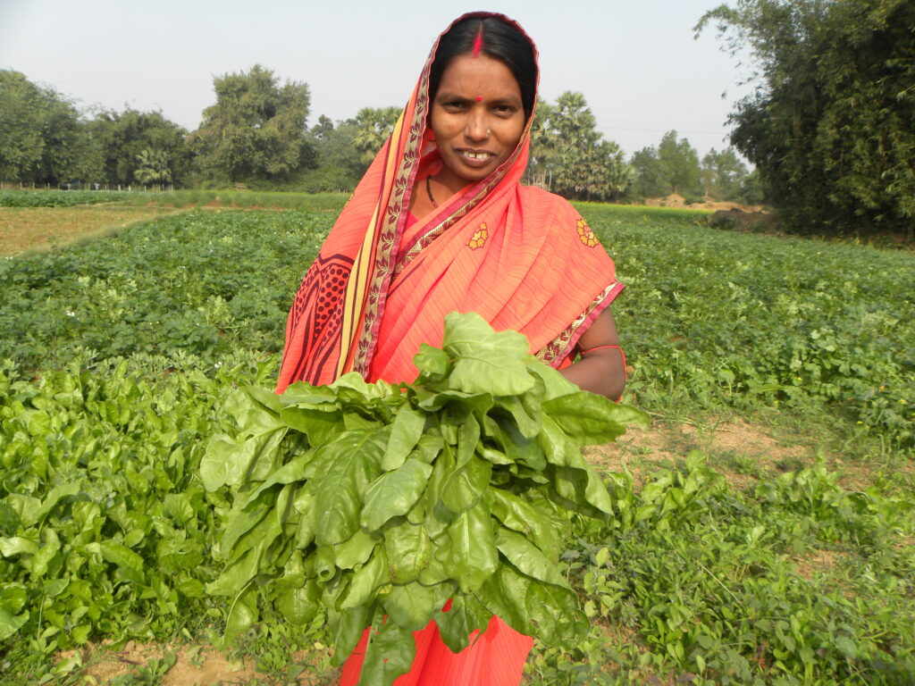 This start of nutrition and self-reliance of rural women, took place in the month of October last year.