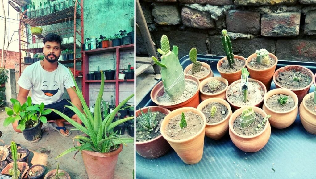 Deepanshu Dhariya Showing Plants that grow from leaves