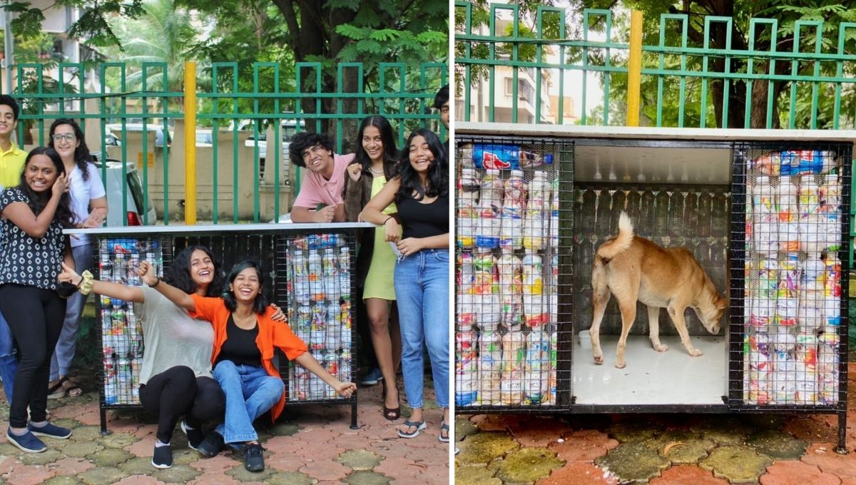 Dog House with Eco Bricks