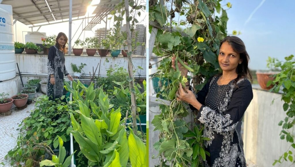 Jagruti is growing Vegetable at home 