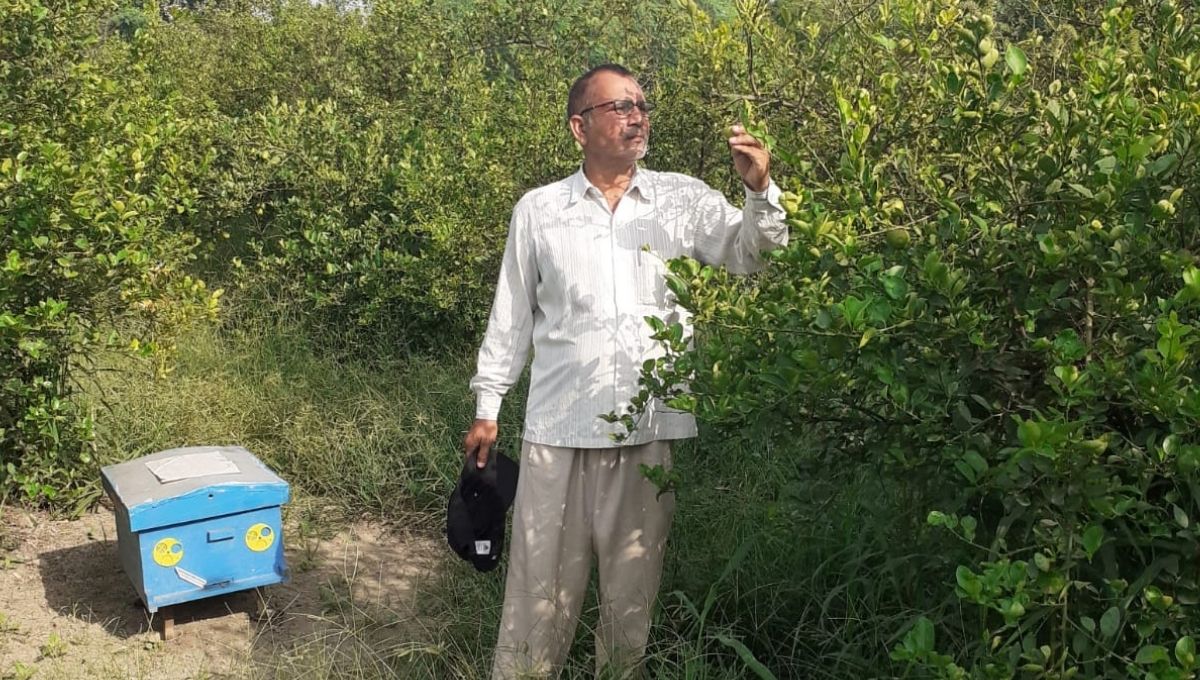 Delhi Organic Farmer Kuldeep Singh 
