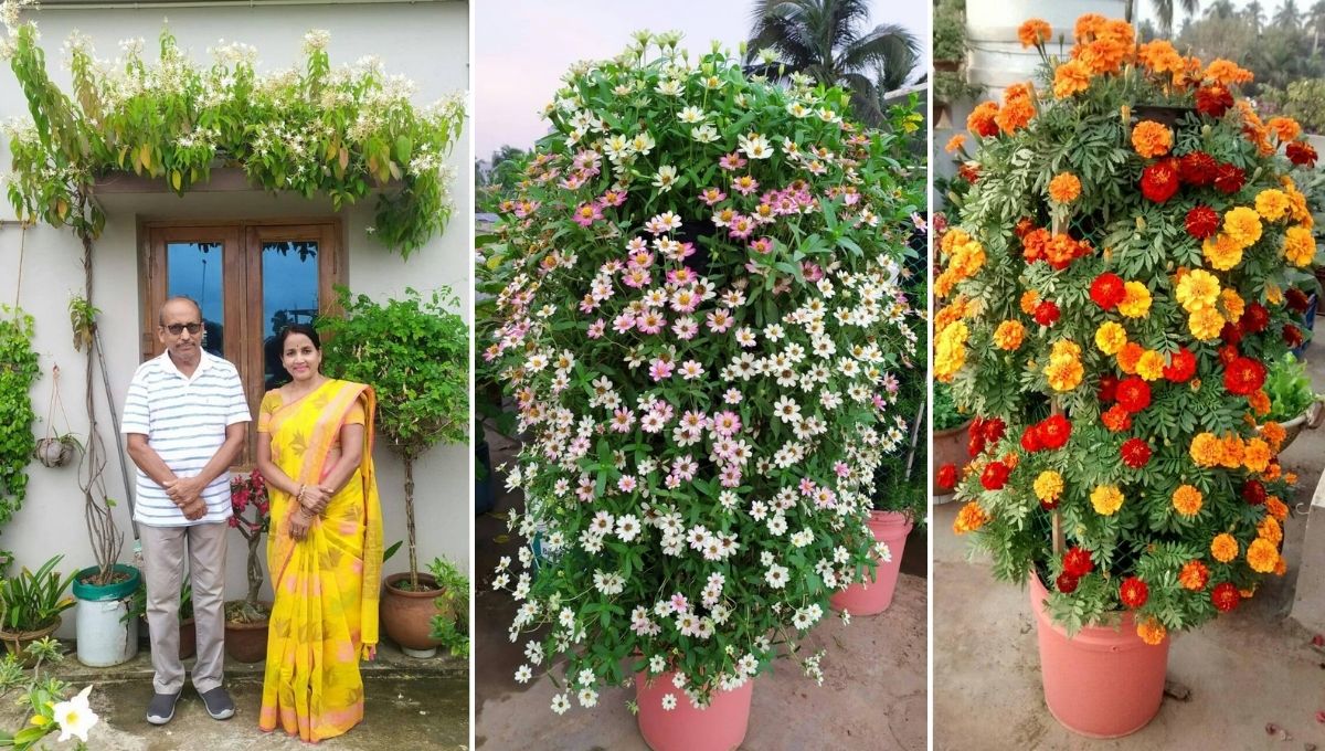 Odisha Couple Flower Garden