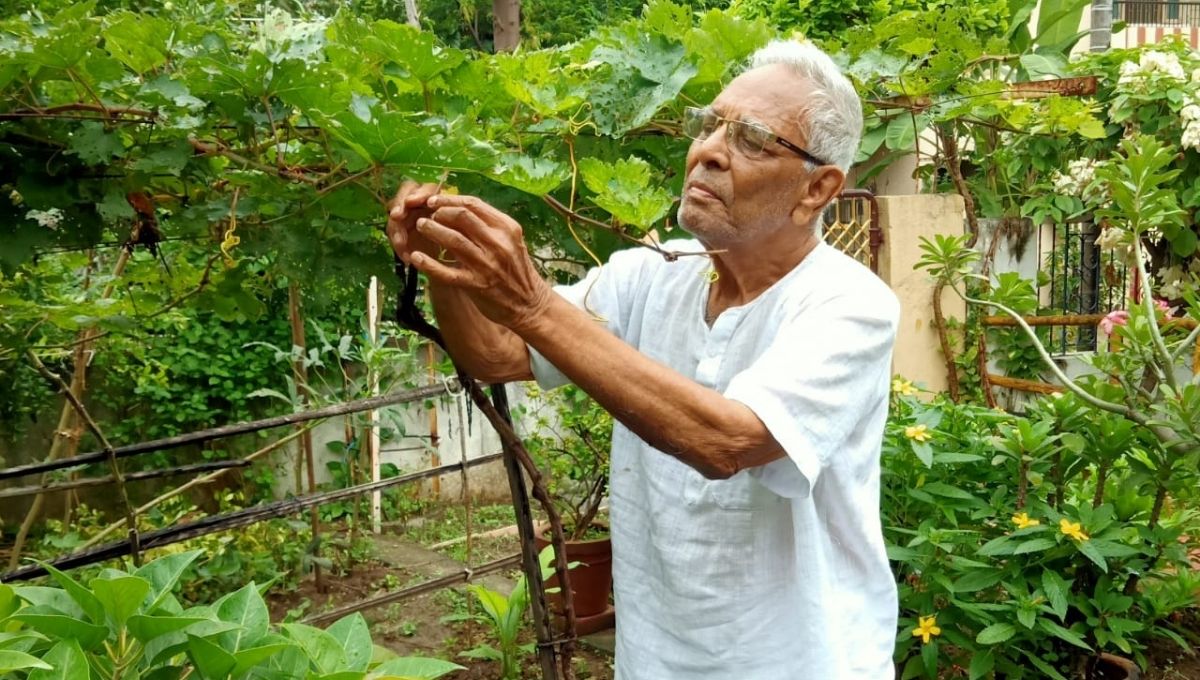 Padmakar Farsole Home Vegetable & Fruits Gardening