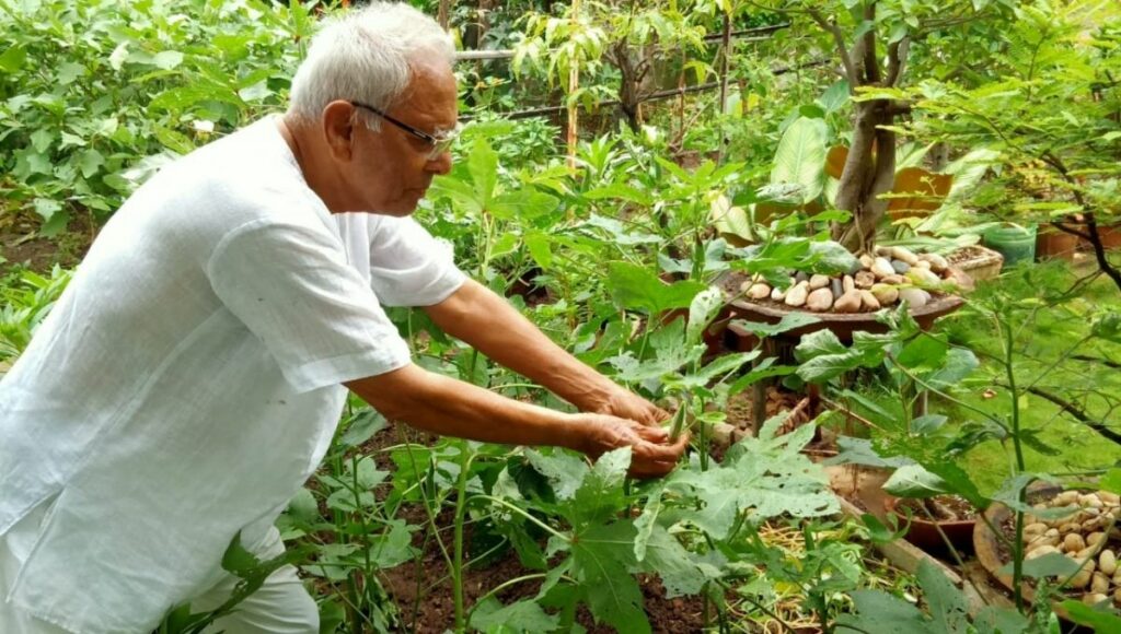 88 YO Padmakar Farsole is doing home gardening.