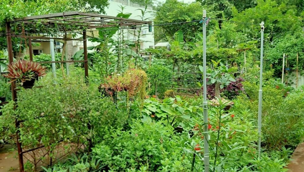 Home Garden of Pramod farsole.