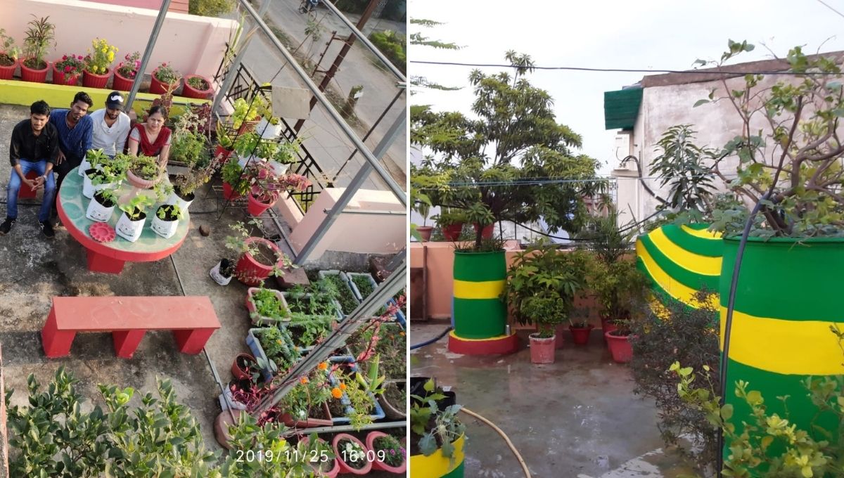 Growing Fruits, vegetables on rooftop 