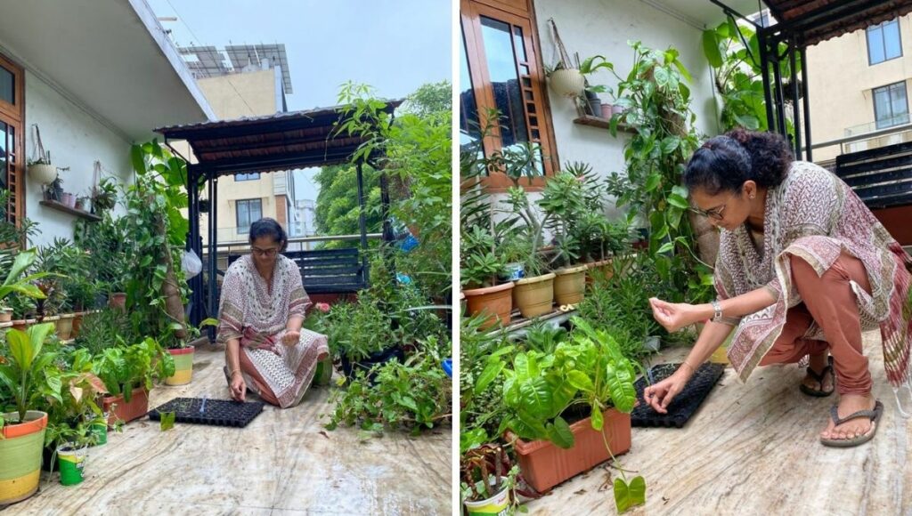 Anupama Desai Gardening expert