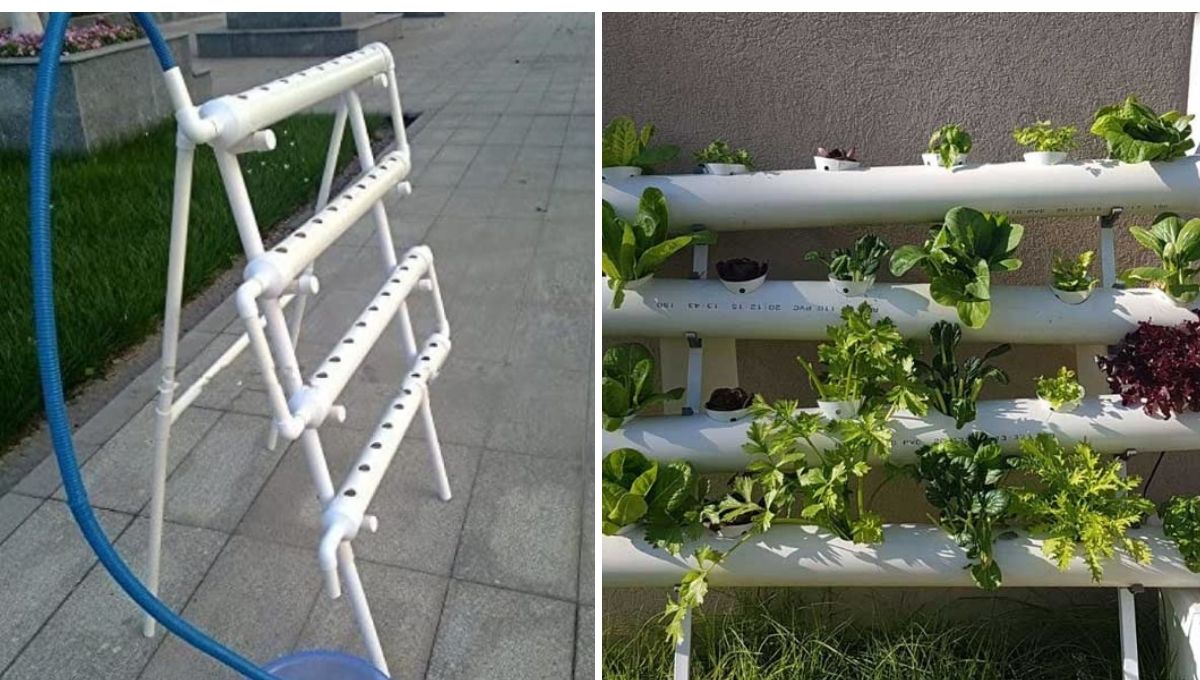 how to start hydroponics business