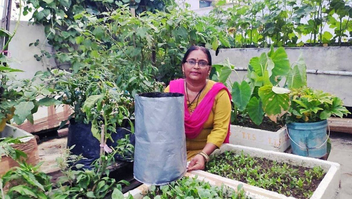 Prabha in her Rooftop kitchen garden