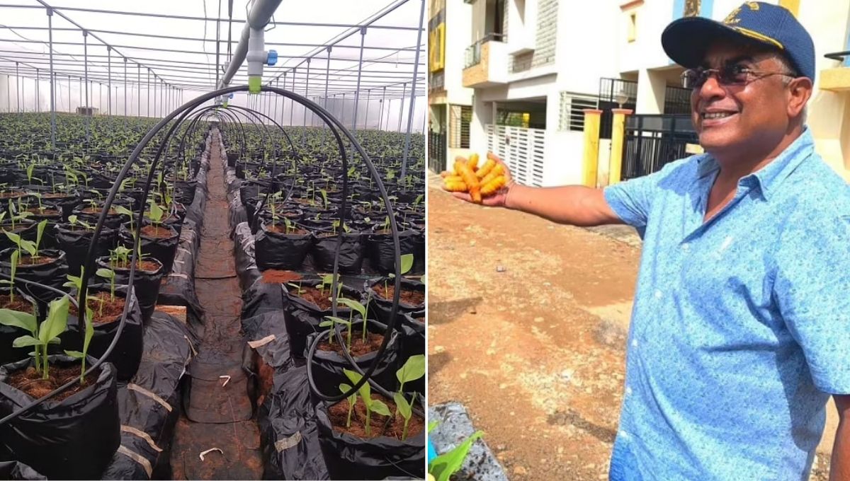 CV Prakash is doing turmeric production by hydroponic farming in India