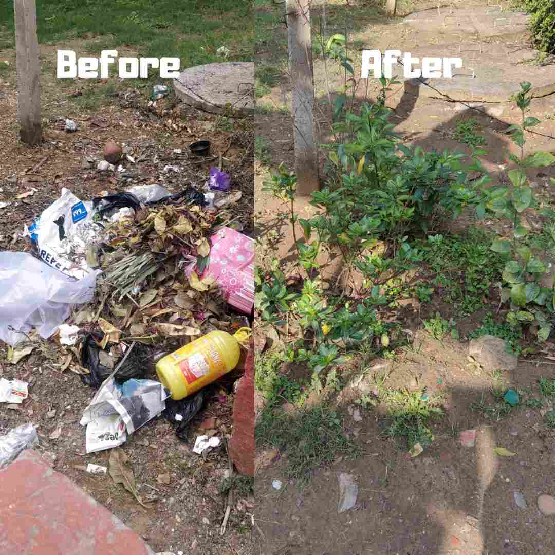 Clean Garbage site to plant trees