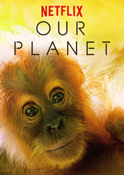 Our Planet on Netflix 