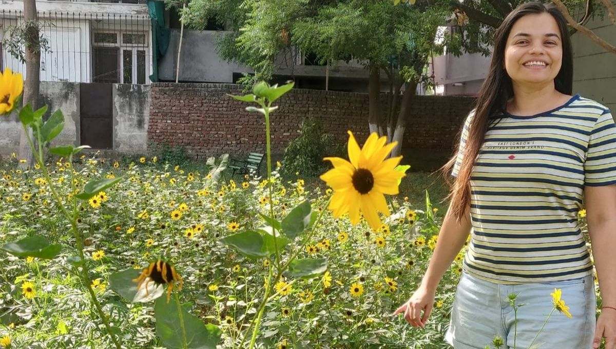 Sunflower Gardening At Home