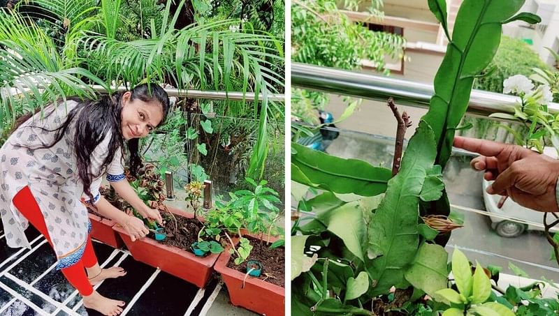 eco-friendly lifestyle gardening
