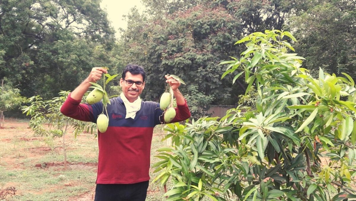 Dr. Sasikant Dash with mangoes in college
