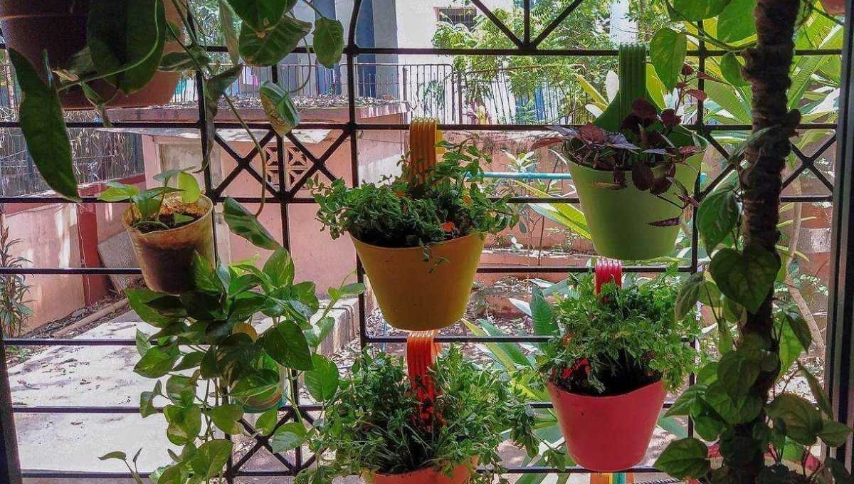 Hang planters on window grill to make vertical garden 