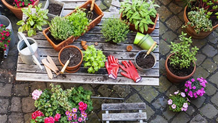 Basic Gardening tools to start Gardening
