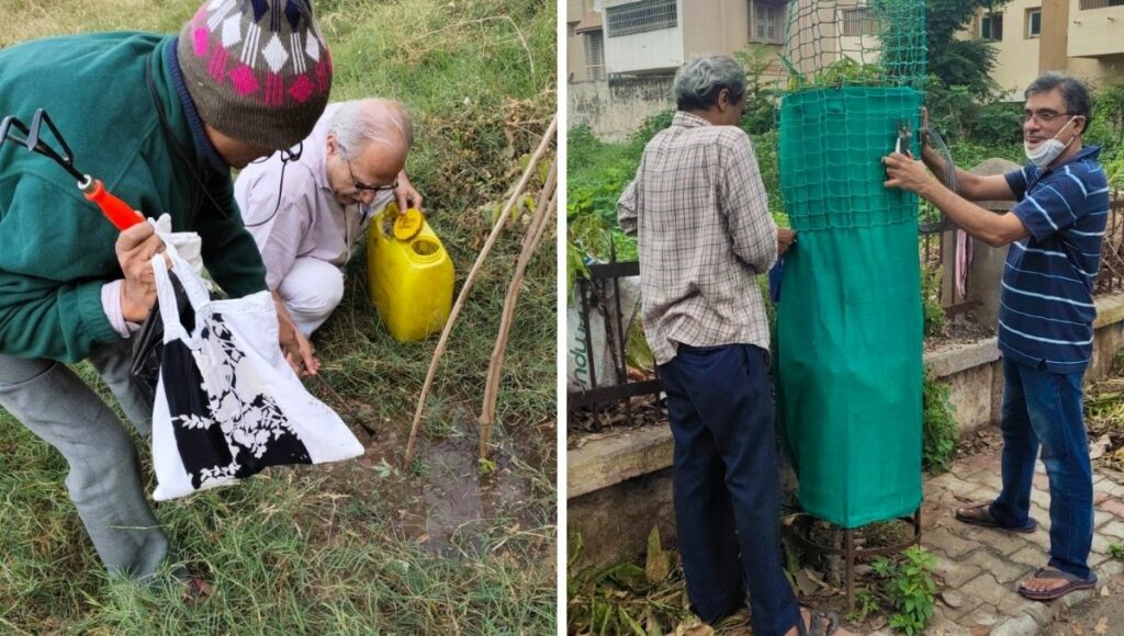plantation in ahmedabad by senior citizen group