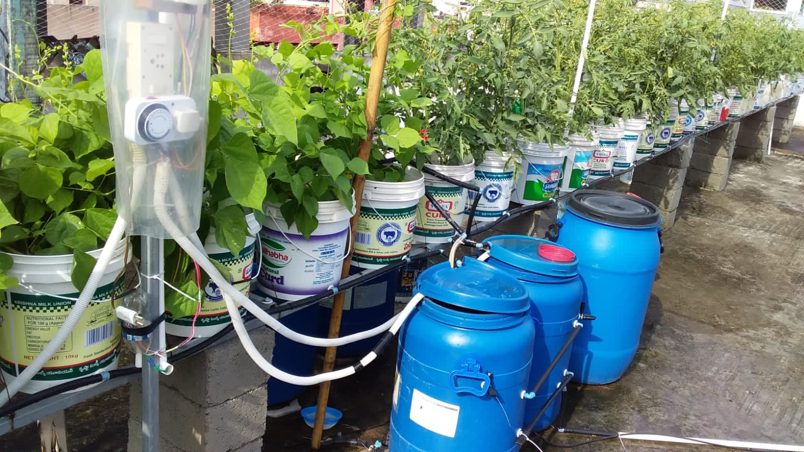 Hydroponics system for terrace gardening 