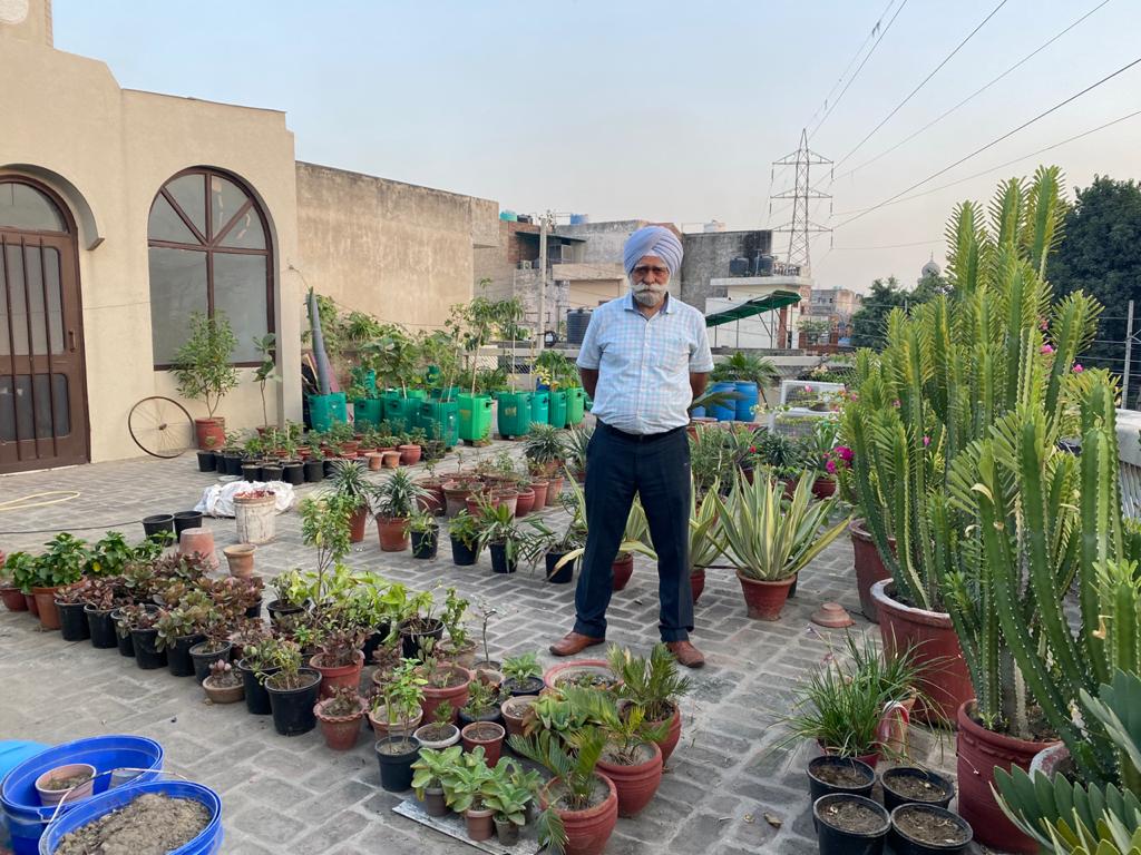 Home gardening in punjab 