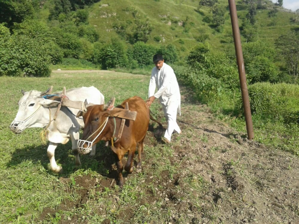 Organic farming in uttarakhand 