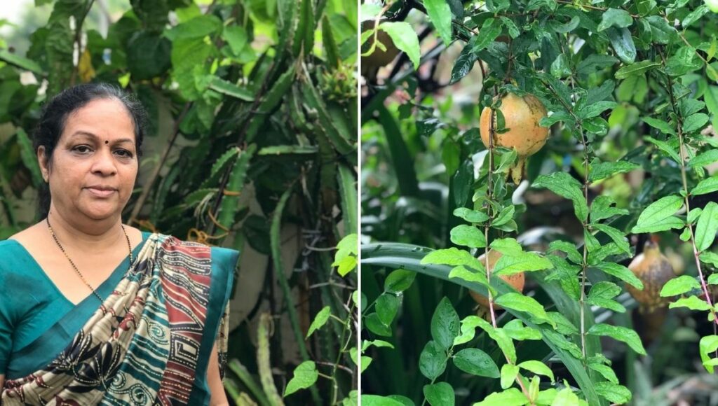growing fruits in home terrace gardening tips