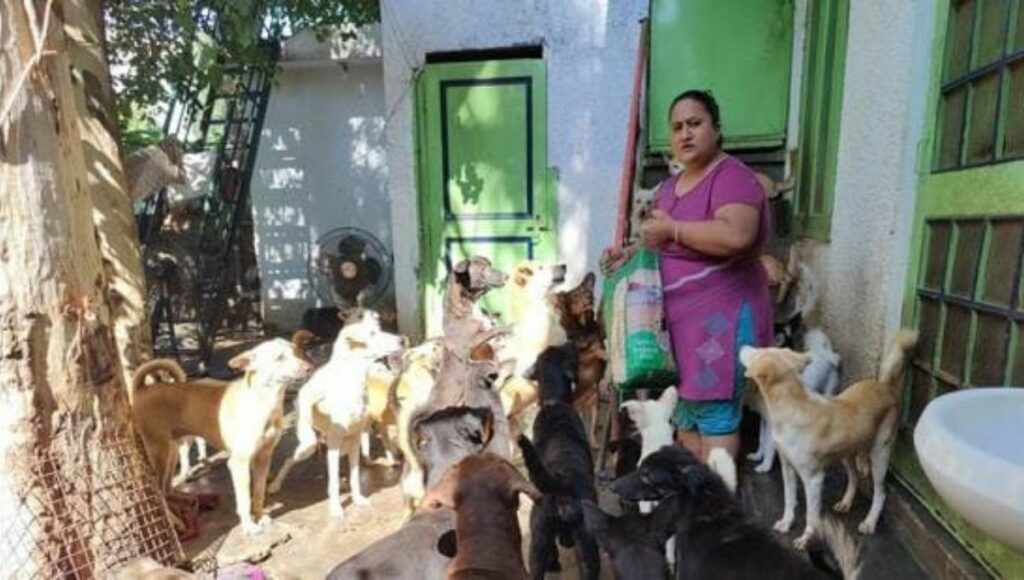 Namrata Hakhoo With The Rescued Dogs