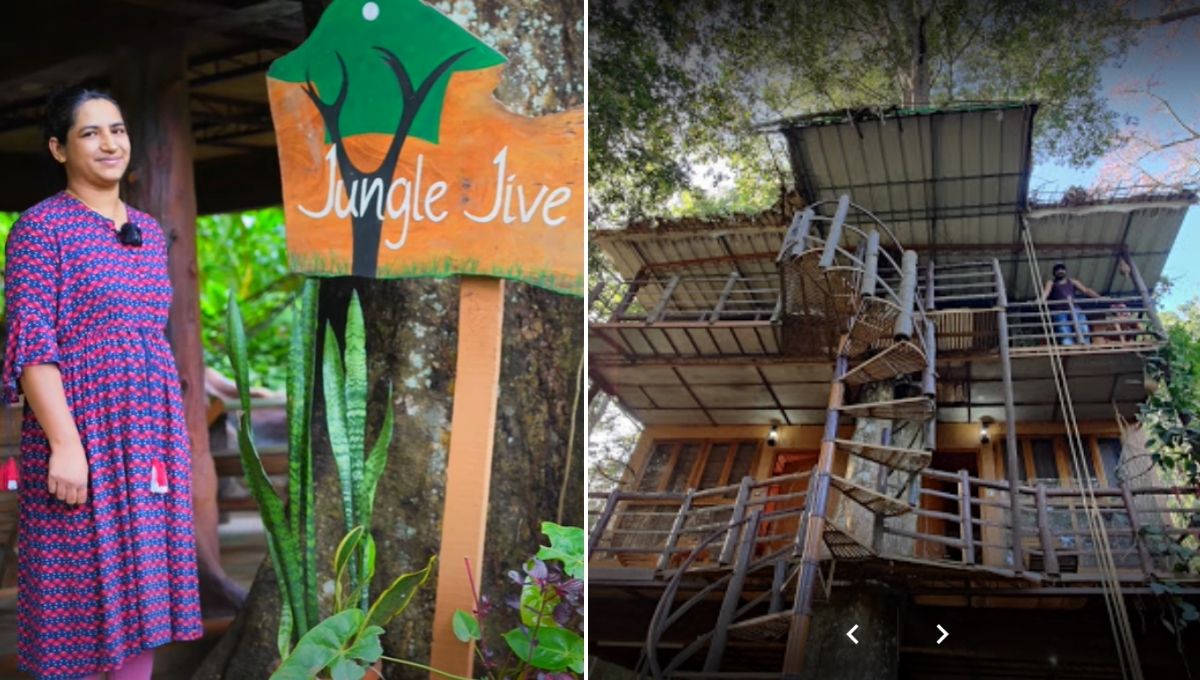 Kerala homestay Jungle Jive Tree House