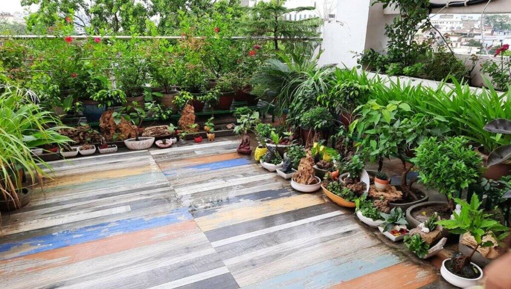 beautiful terrace garden in patna 