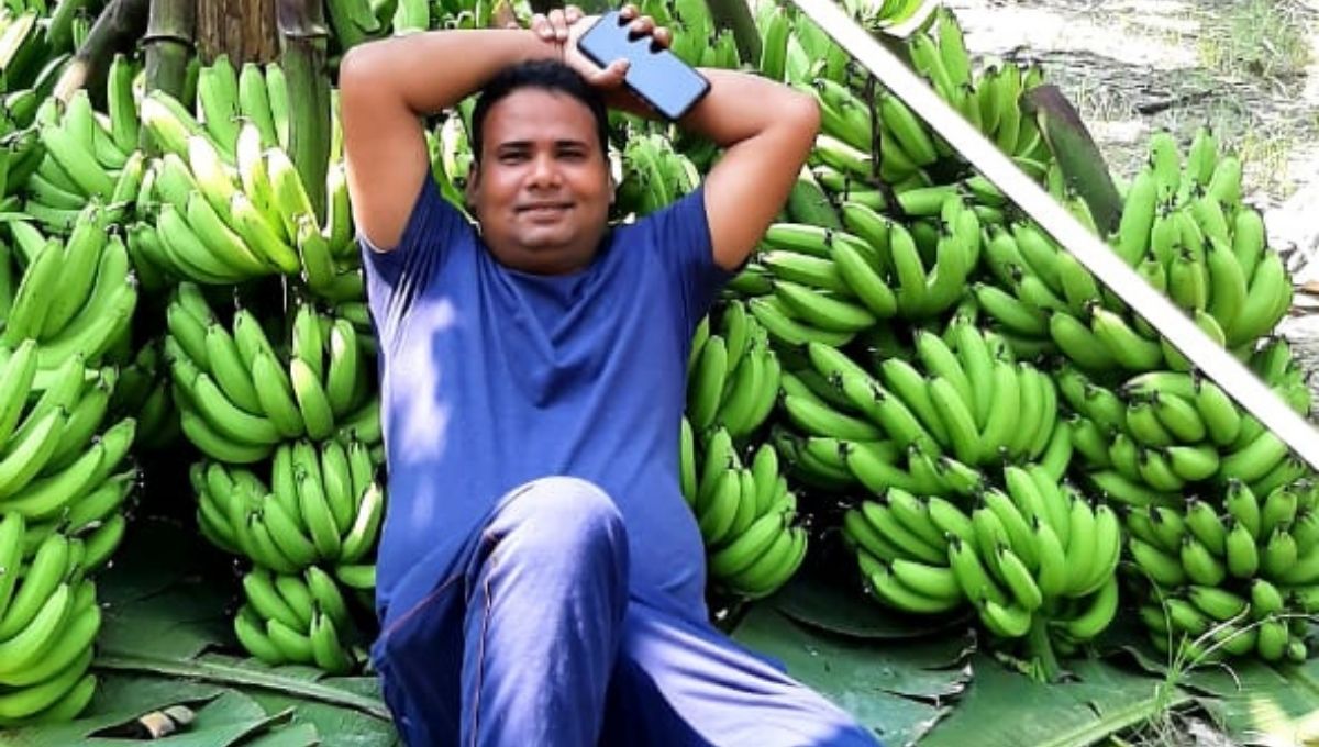 Banana Farming by Kuldeep Sharma along with work from home