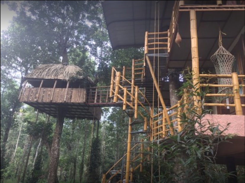 Jungle Jive Treehouse in Kerala, Munnar