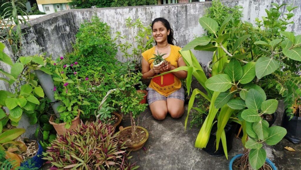 gardening for organic vegetables 