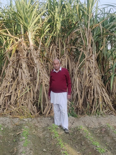 Punjab Farmer, Prem chand's Sugarcane Farming