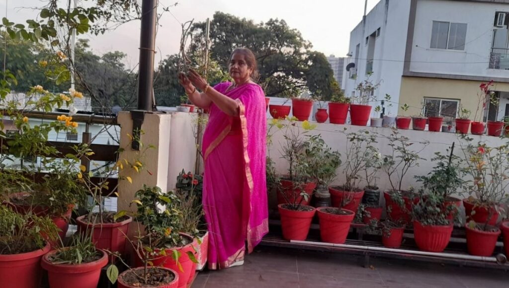 Chetna Bhati Does Terrace Gardening in Indore